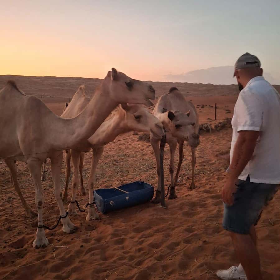 Muscat: Bidiya Desert Sunset Camel Ride with Transfer - First look at the Bidiya sands by 4WD