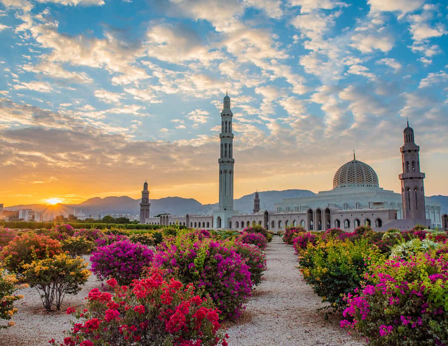 Muscat: Budget Friendly City Tour - Why this four-hour Muscat tour works