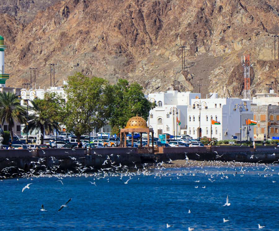 Muscat: Budget Friendly City Tour - Muttrah Souq: the most hands-on stop