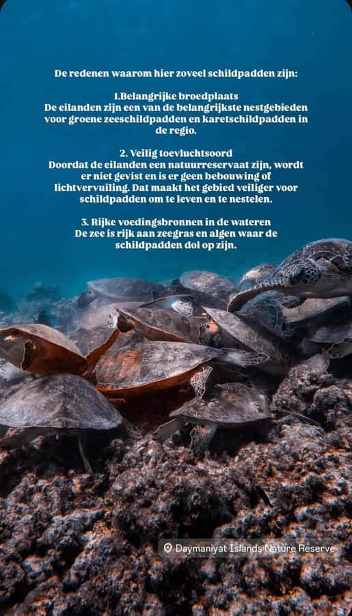 Muscat: Daymaniat Islands Snorkeling Tour with Refreshments - The first snorkel stop, usually with turtles