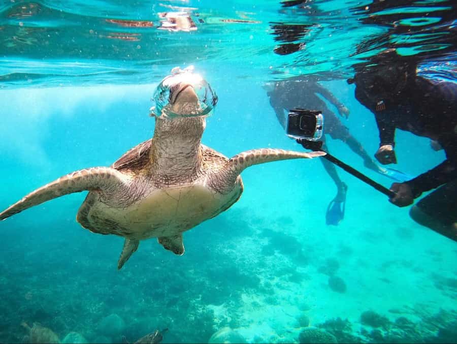 Muscat: Daymaniat Islands Snorkeling Trip with Brunch - The boat ride from Muscat to open water