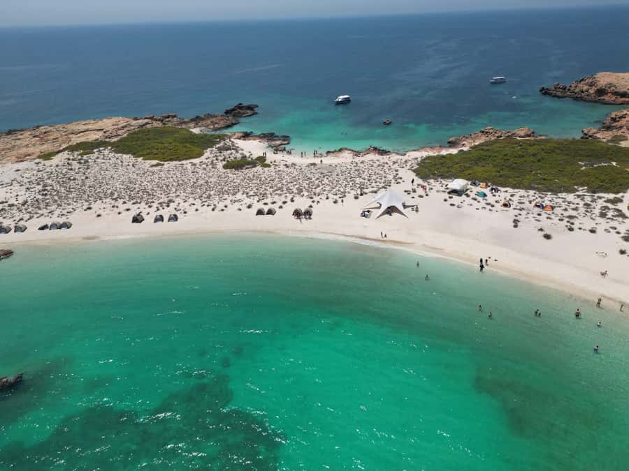 Muscat: Daymaniat Islands Snorkeling Trip with Brunch - Turtles, coral, and the right way to swim