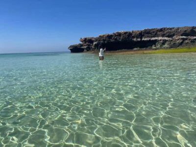 Daymaniat Islands Snorkeling Trip with Brunch