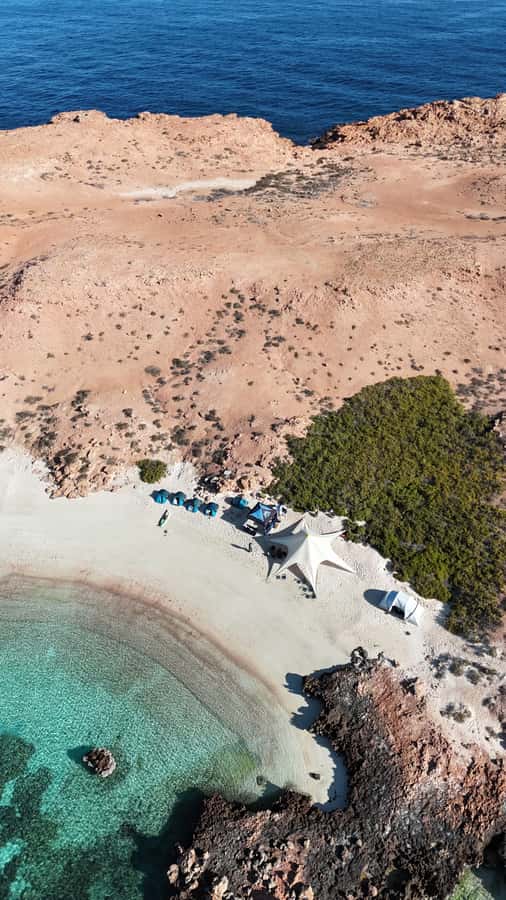 Muscat: Daymaniat Islands Tour - Daymaniat Islands Tour at a Glance