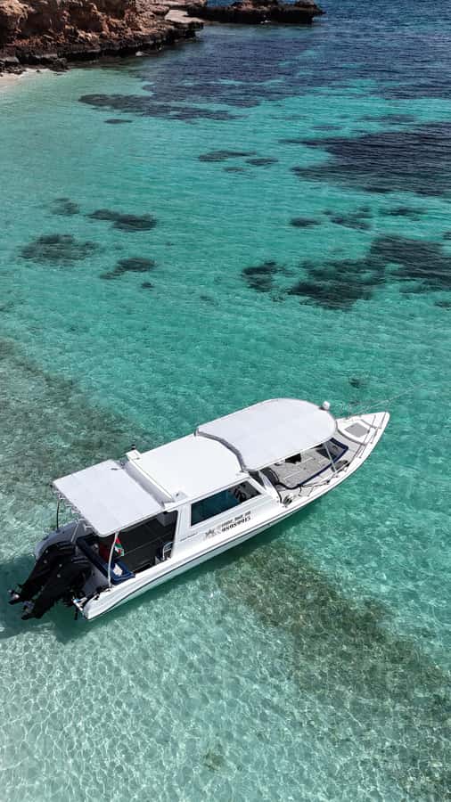 Muscat: Daymaniat Islands Tour - Who Should Book This Experience?