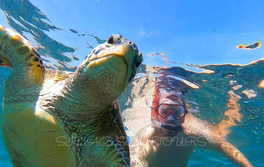 Muscat: Daymaniyat Island Snorkeling with Turtles Tour - The van and speedboat journey