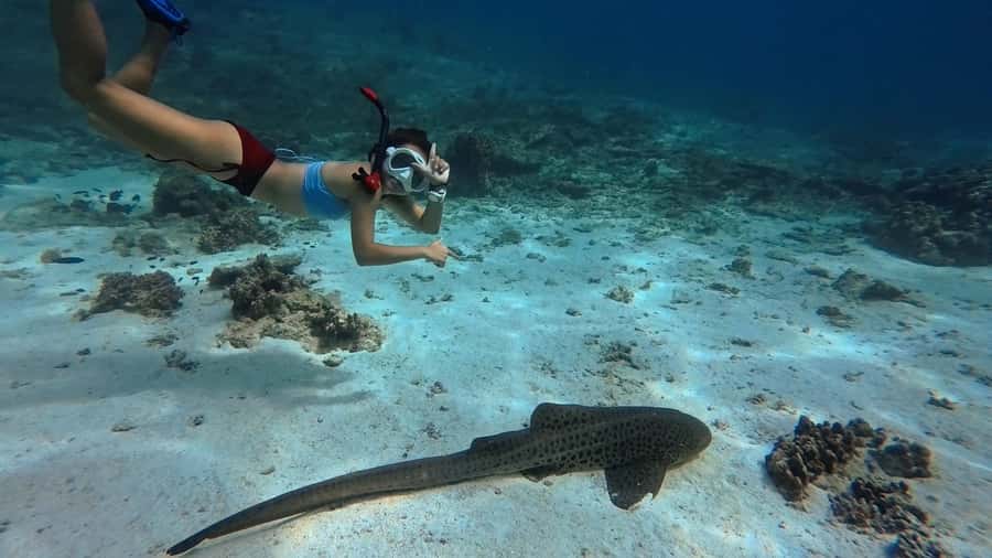 Muscat: Daymaniyat Islands Snorkeling Tour - Why the Daymaniyat Islands are worth the boat ride