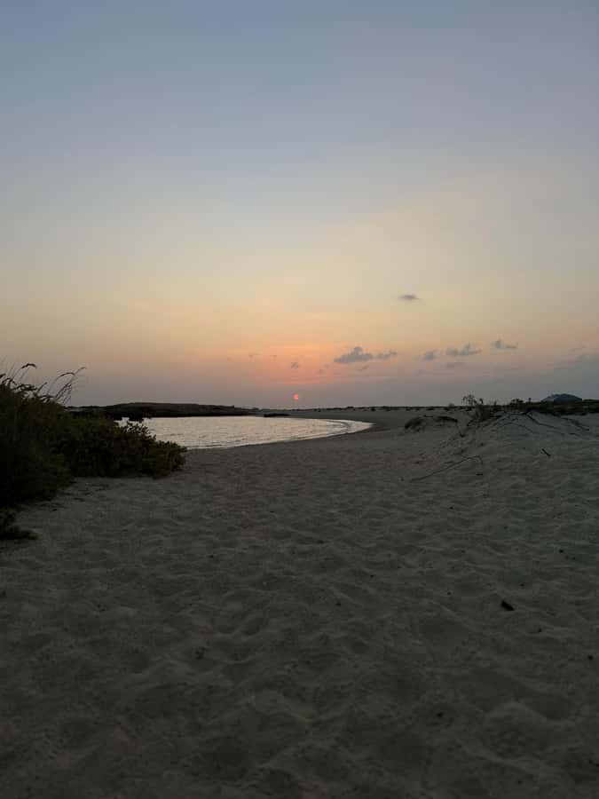 Muscat: Daymaniyat Islands Snorkeling Tour - Three bays, different underwater views