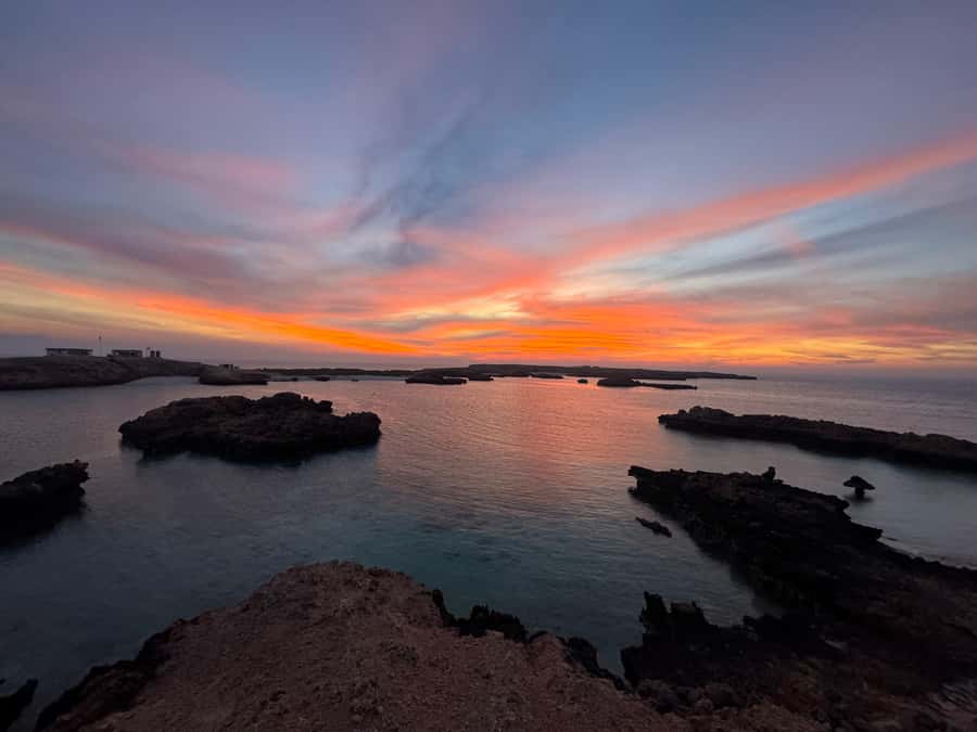 Muscat: Daymaniyat Islands Snorkeling Tour - Turtle encounters, coral, and marine life