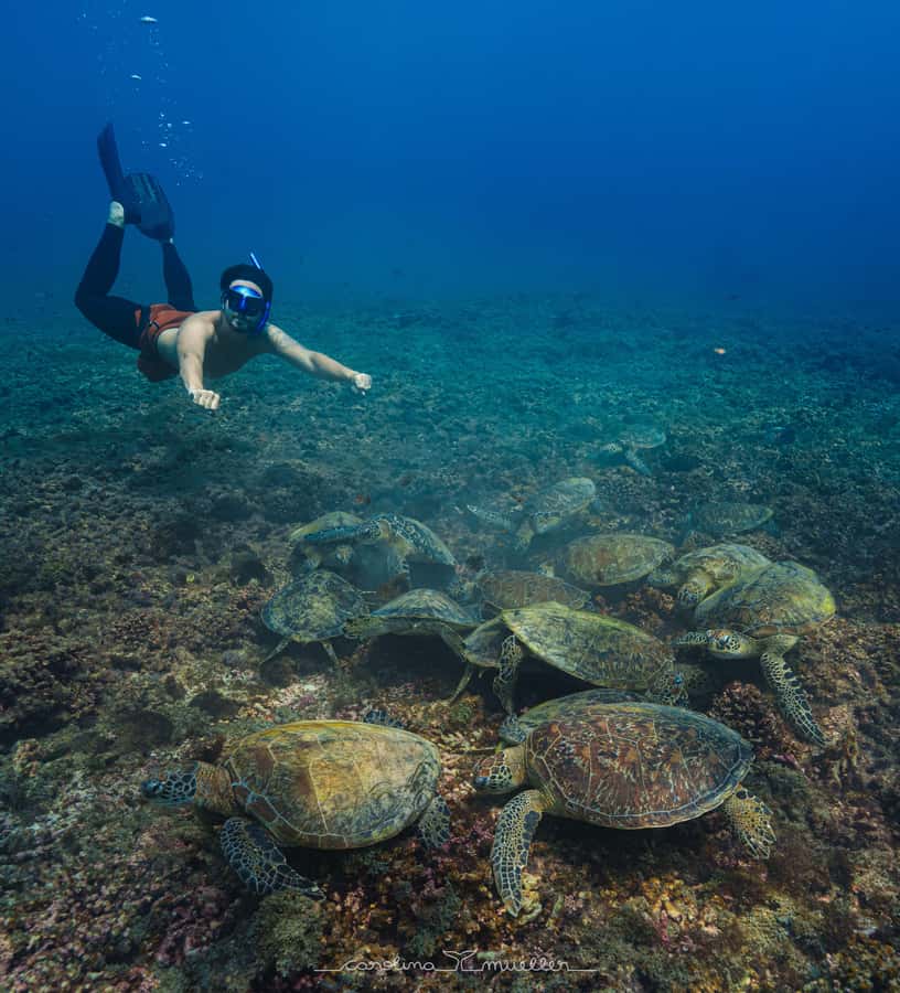 Muscat: Daymaniyat Islands Snorkeling Trip with BBQ Lunch - A roughly 45-minute ride to the reserve