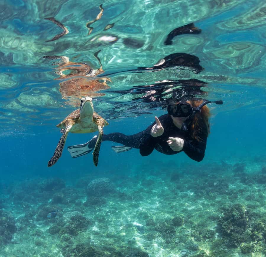 Muscat: Daymaniyat Islands Snorkeling Trip with BBQ Lunch - Two snorkeling stops chosen for the day