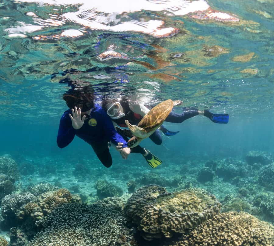 Muscat: Daymaniyat Islands Snorkeling Trip with BBQ Lunch - Lunch, snacks, and the realities of eating at sea