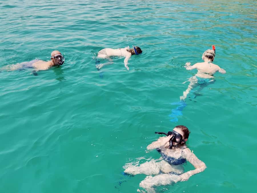 Muscat: Dolphin Watch & Snorkel Excursion - The snorkelling stop: fish, coral, and turtles