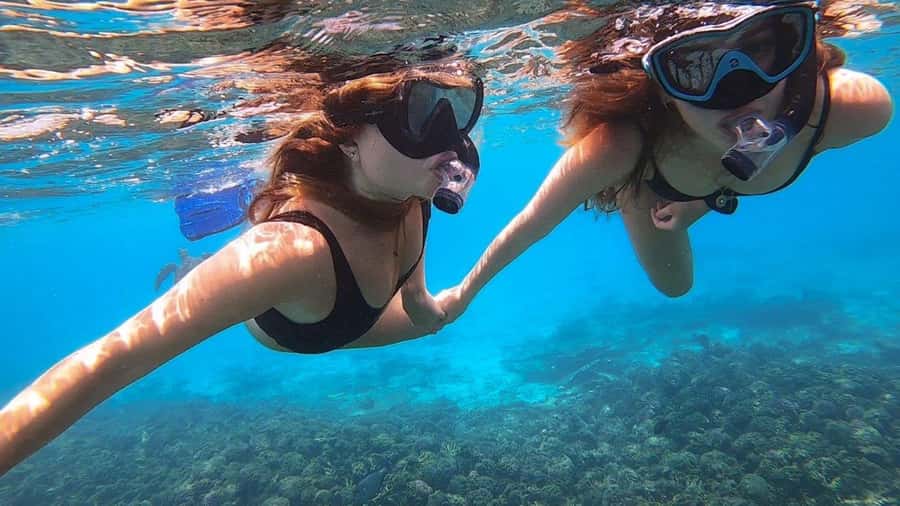 Muscat: Dolphin Watch & Snorkel Excursion - Snacks, drinks, and the practical details