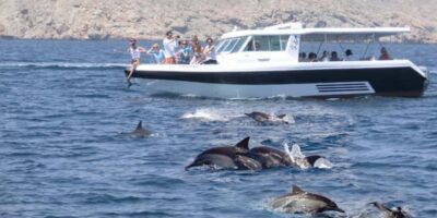 Dolphin Watching Boat Tour