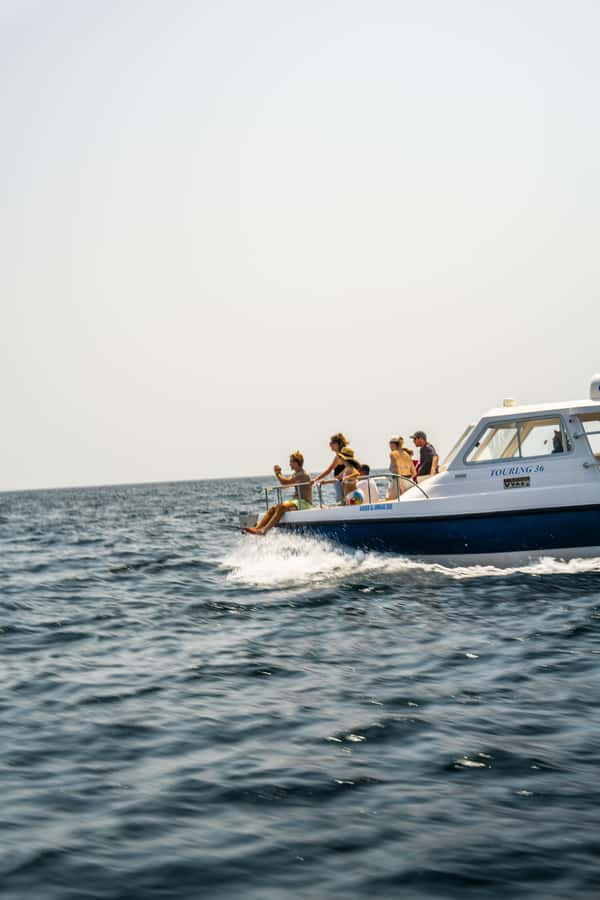 Muscat: Dolphin Watching Boat Trip with Snacks & Local Guide - Leaving Marina Bandar al Rowdha in the Morning
