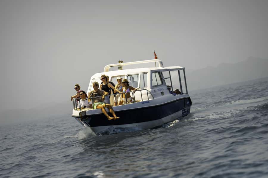 Muscat: Dolphin Watching Boat Trip with Snacks & Local Guide - Searching for Dolphins in Open Water