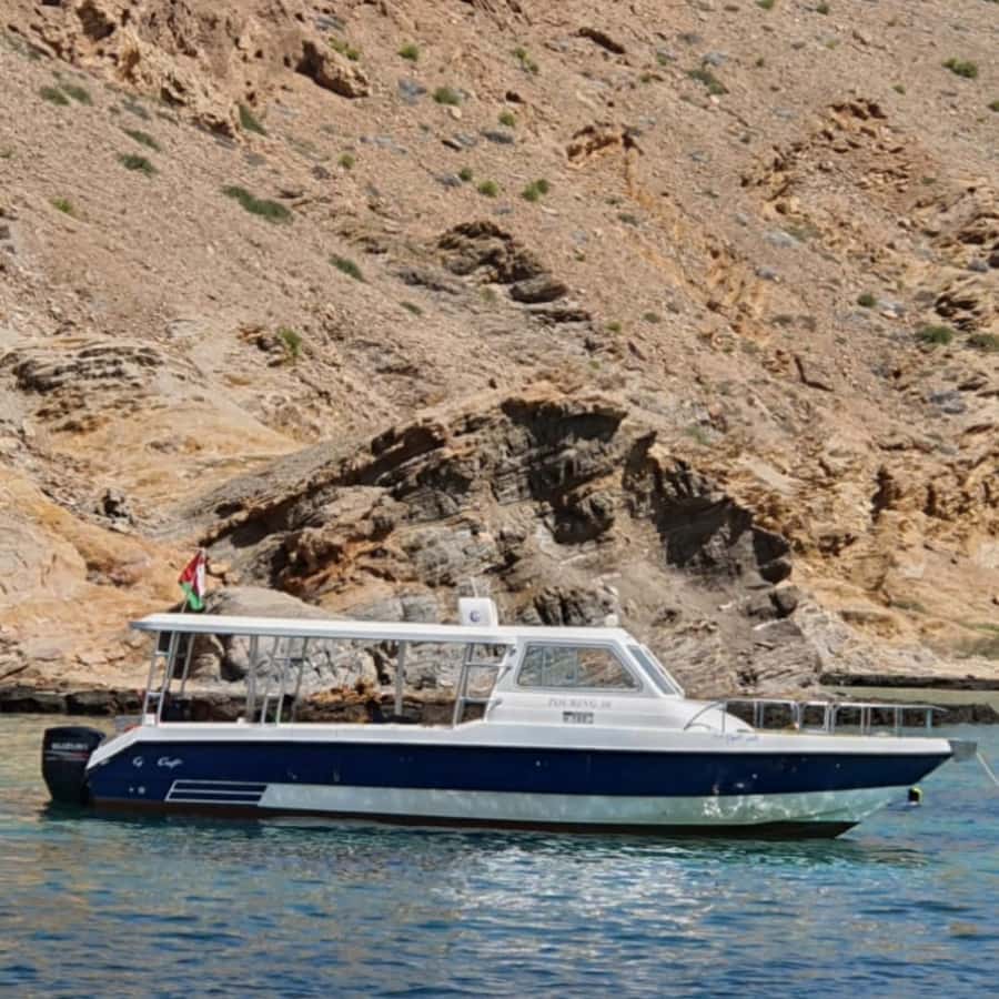 Muscat: Dolphin Watching Boat Trip with Snacks & Local Guide - Who Will Enjoy This Trip Most