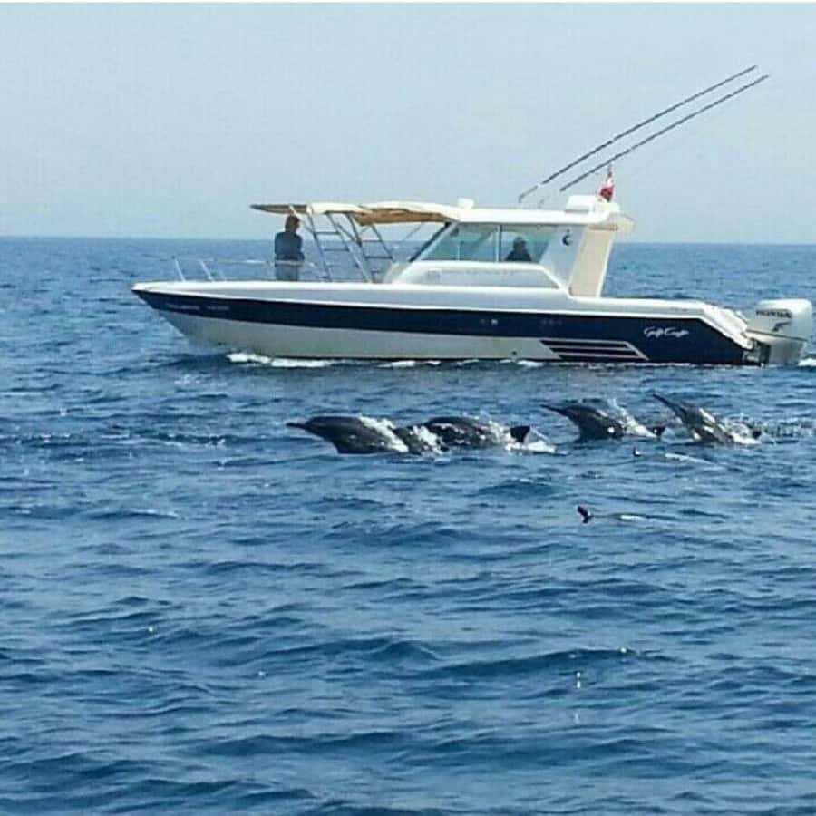Muscat: Dolphin Watching Boat Trip with Snacks & Local Guide - FAQ