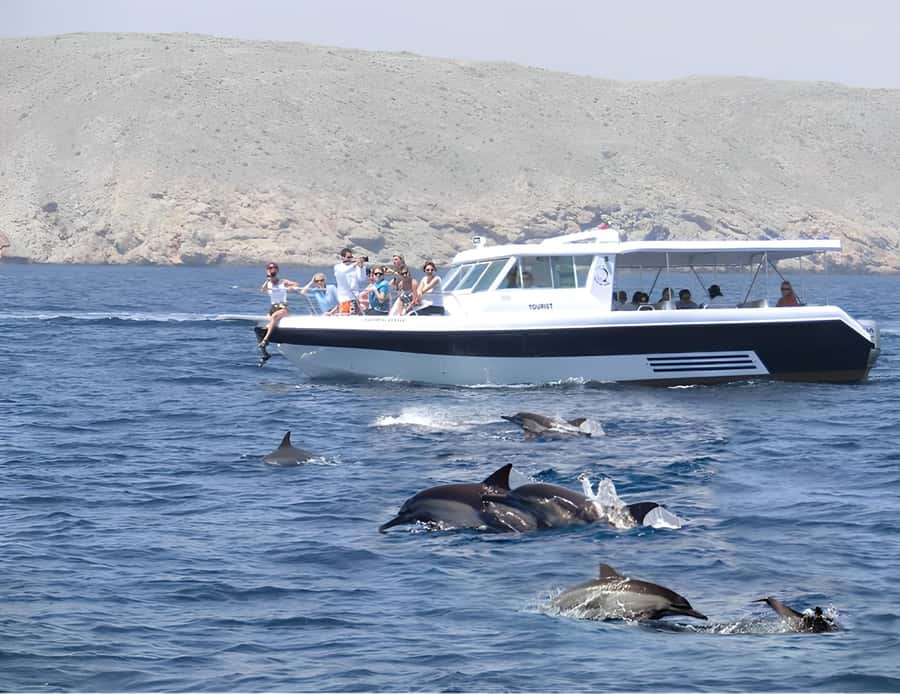 Muscat: Dolphin Watching Boat Trip with Snacks & Local Guide - Cruising Past Arch Rock and Bustan Palace