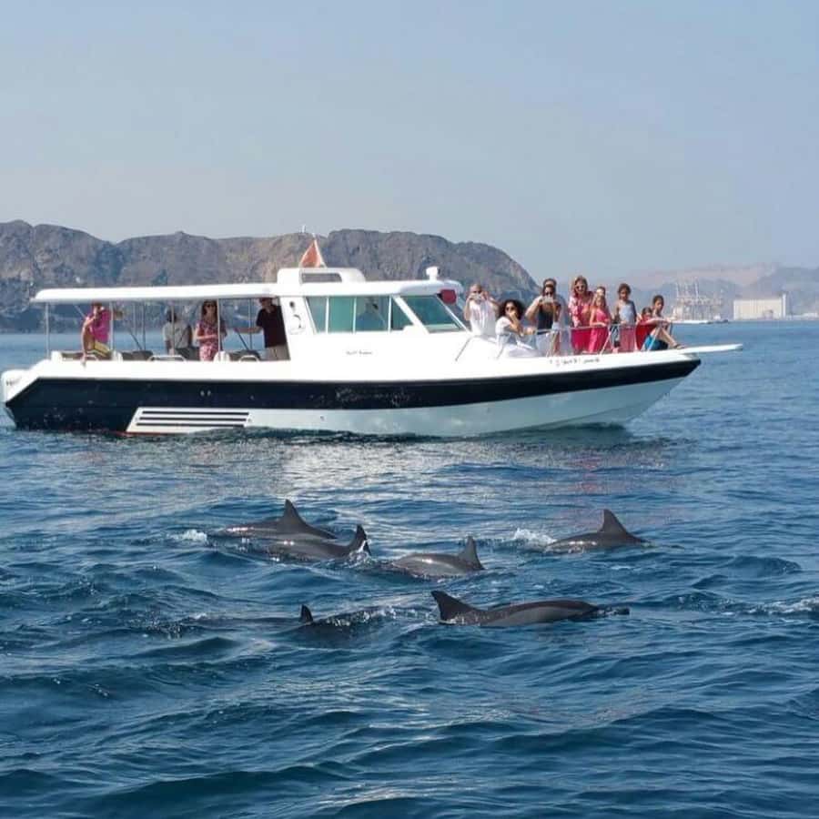 Muscat Dolphin Watching & Coastal Sightseeing Tour - The van ride and first coastal views
