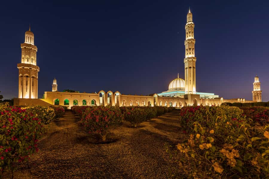 Muscat: Evening Guided City Highlights Tour by Van - Why Muscat looks so good after sunset