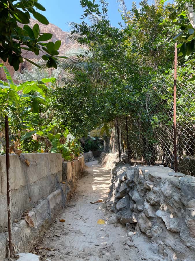 Muscat: Full-Day Wadi Shab & Bimmah Sinkhole Private Tour - Key points at a glance