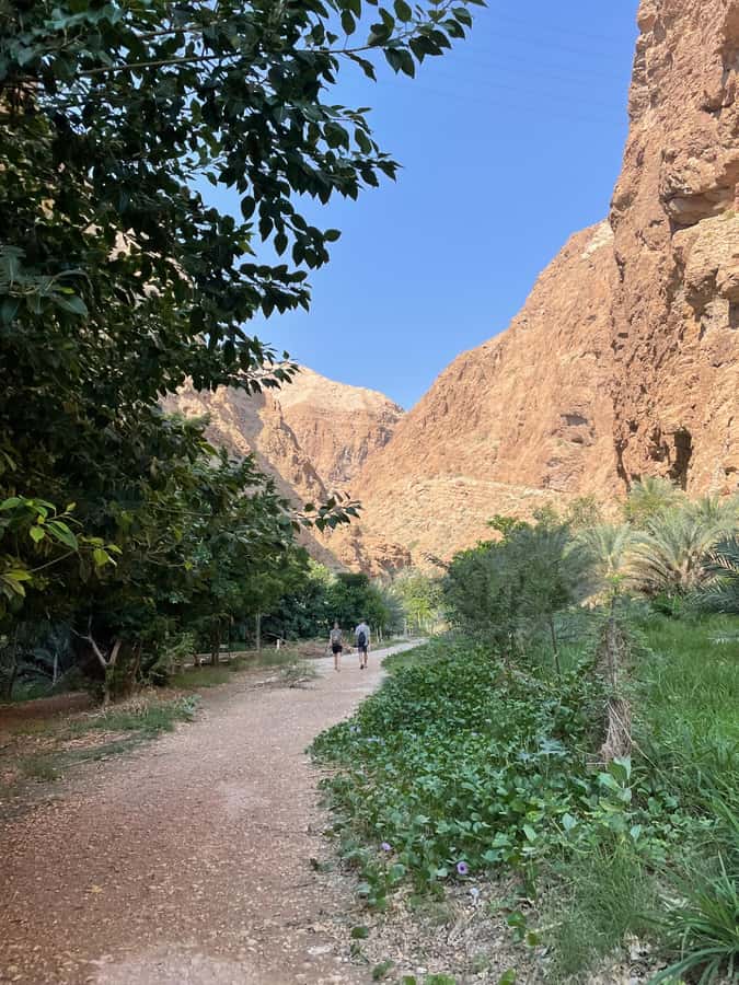 Muscat: Full-Day Wadi Shab & Bimmah Sinkhole Private Tour - Is this tour well organized?