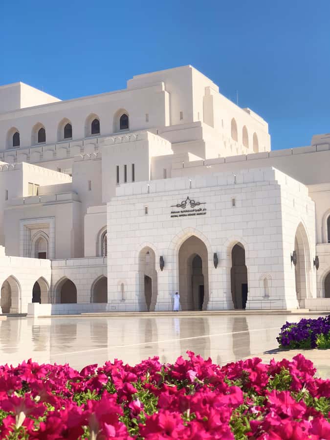 Muscat: Group City Tour with Pickup and Lunch or Dinner - Guides, Vehicles, and the Pace