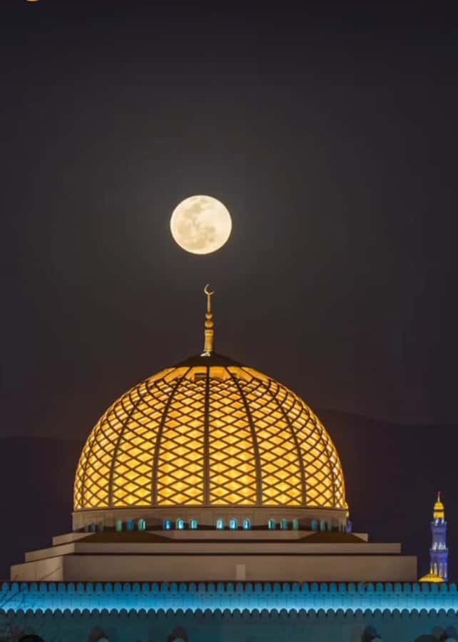 Muscat: Guided Landmarks Tour - Mutrah Fish Market and Corniche: a short taste of waterfront Muscat