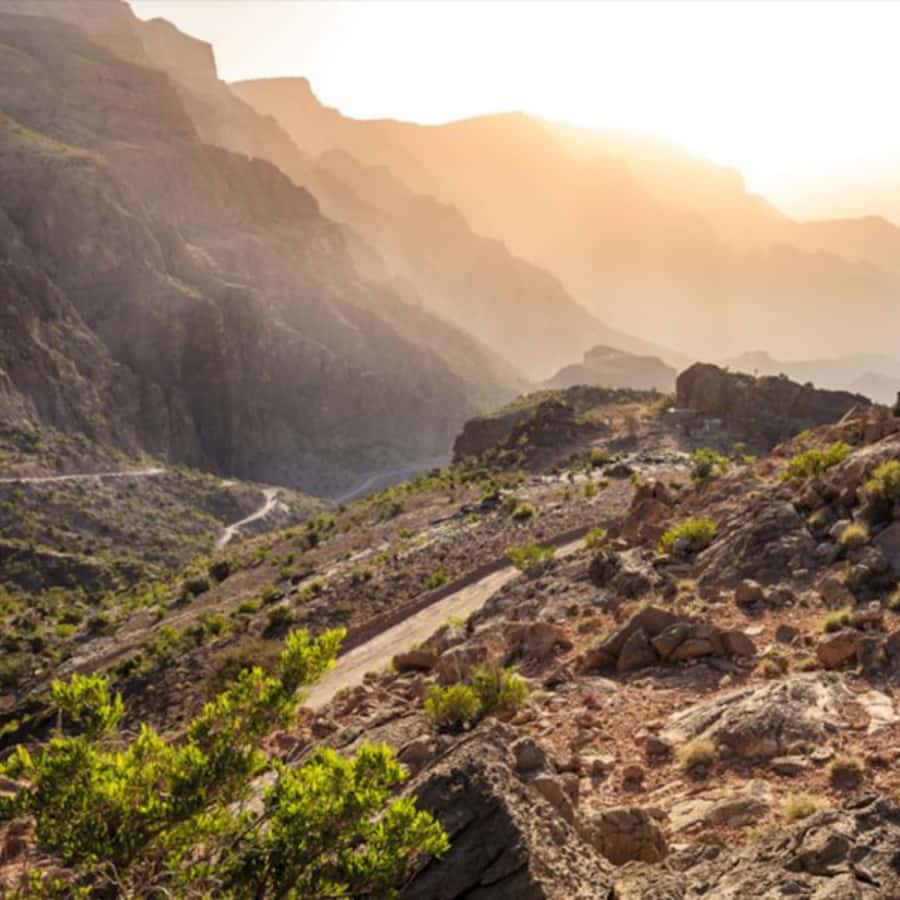 Muscat: Nizwa and Jabal Shams- Full Day Tour - Inside Nizwa Fort and up the tower