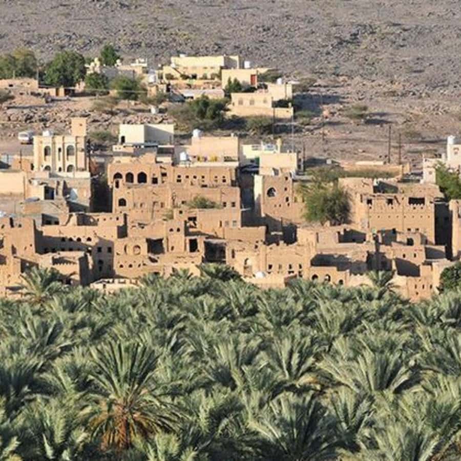 Muscat: Nizwa and Jabal Shams- Full Day Tour - Al Hamra and the last loam-built homes