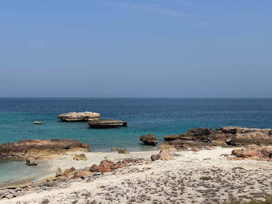Muscat Oman: Snorkeling adventure to Daymaniyat Island - What the snorkeling is really like