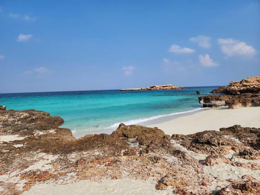 Muscat Oman: Snorkeling adventure to Daymaniyat Island - Should you book Royal Marine Tours?