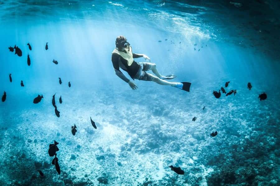Muscat: Snorkeling and Dolphin Watching Tour - Key points to know before you book