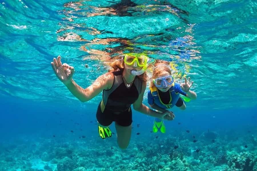 Muscat: Snorkeling and Dolphin Watching Tour - What dolphin watching is really like