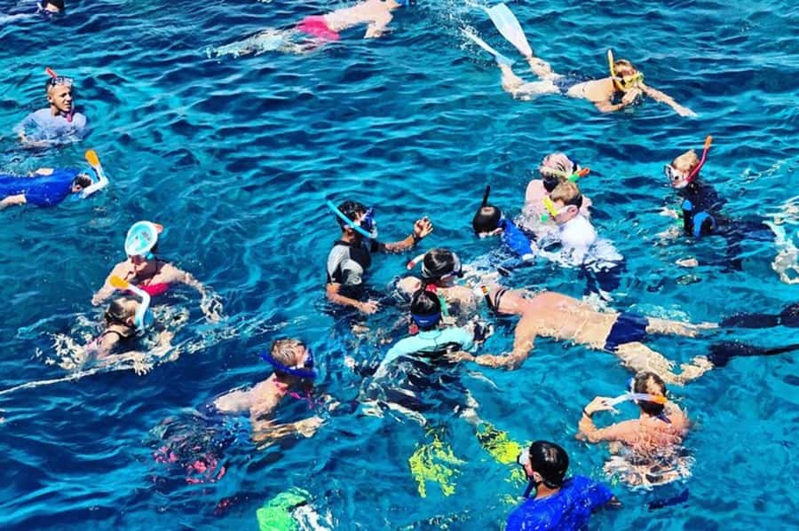 Muscat: Snorkeling and Dolphin Watching Tour - Who will enjoy this outing most