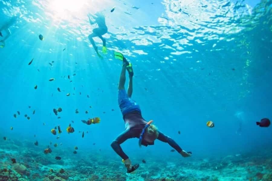 Muscat: Snorkeling and Dolphin Watching Tour - Small details that make the day easier
