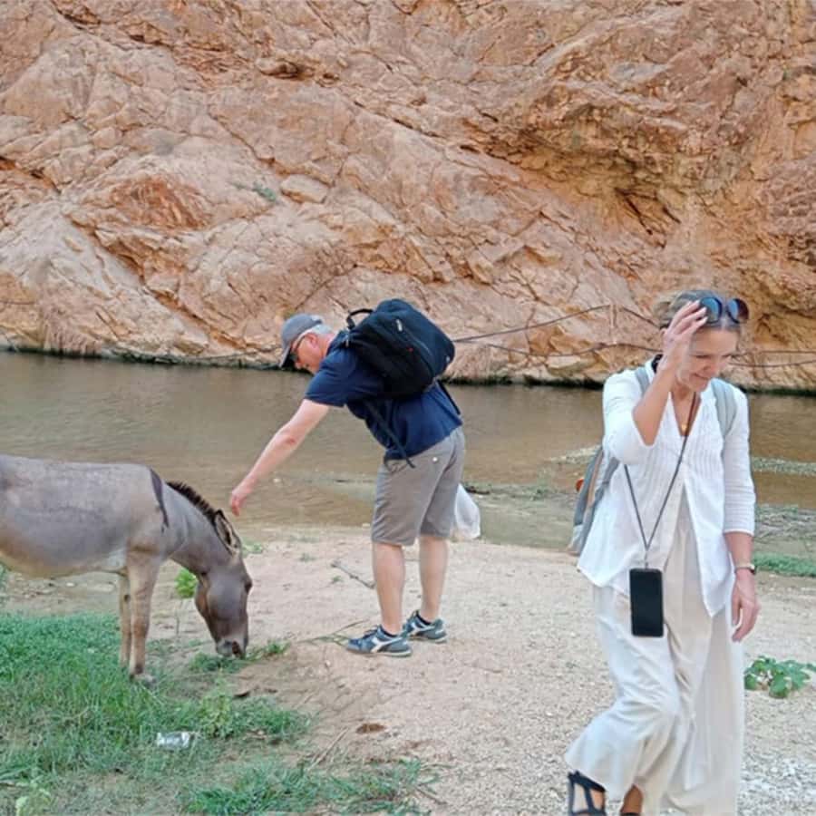 Muscat: Southern Treasures & Wadi Shab Tour with Audio Guide - What the guide and vehicle add