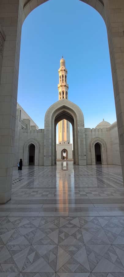 Muscat Tour - Half day - Al Alam Palace is a short visit with a strong visual payoff