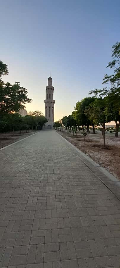Muscat Tour - Half day - Mutrah Souq brings the tour down to street level