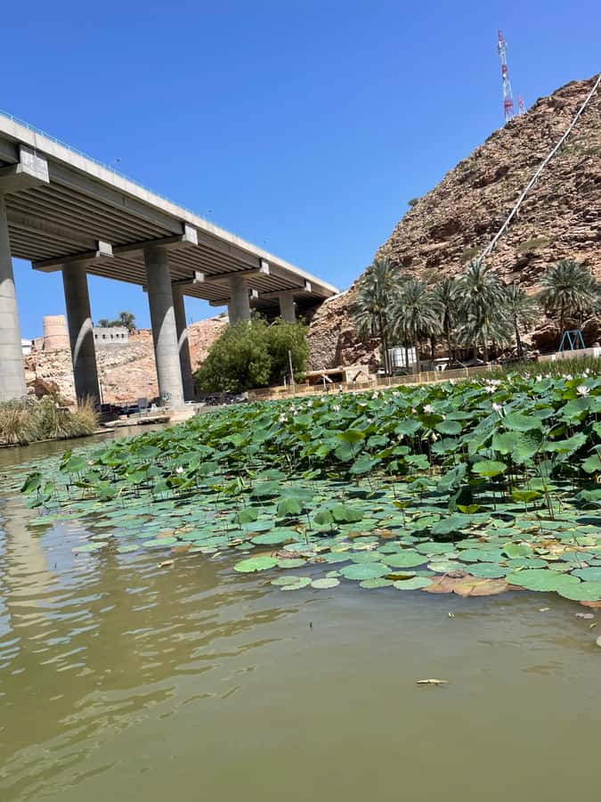 Muscat: Wadi Shab, Romantic Cave and Sinkhole Full-day Trip - The Romantic Cave and sea views
