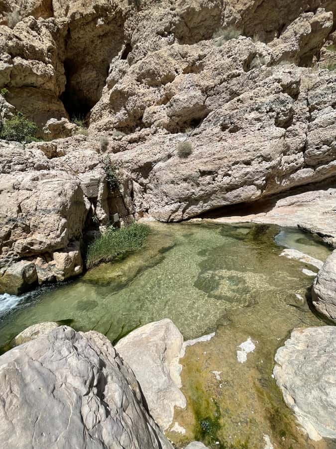 Muscat: Wadi Shab, Romantic Cave and Sinkhole Full-day Trip - Transport, food, and what $40 buys you
