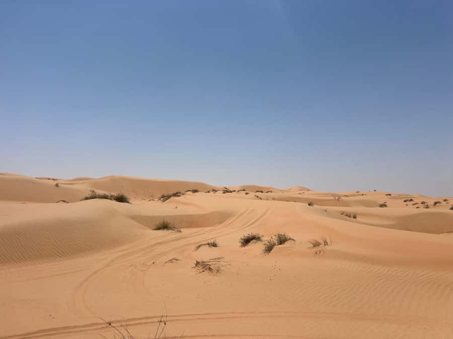 Muscat: Wahiba Sands, Wadi Bani Khalid & Mudayrib Tour - Why this day trip works so well from Muscat