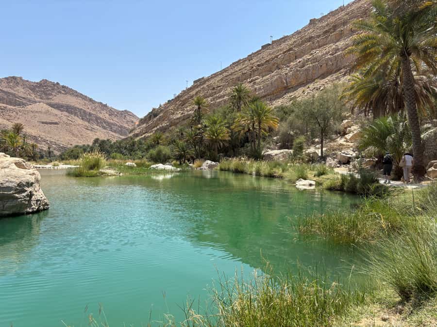 Muscat: Wahiba Sands, Wadi Bani Khalid & Mudayrib Tour - Swimming in the clear pools