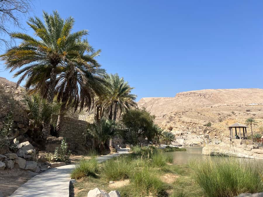 Muscat: Wahiba Sands, Wadi Bani Khalid & Mudayrib Tour - How good is the value at $98?