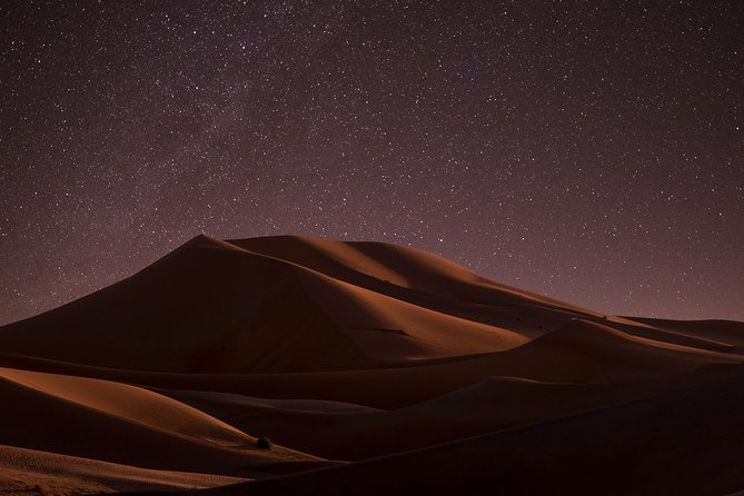 Night Desert Safari | Sand Boarding || Camel Ride || Inland Sea - Why this safari works well from Doha
