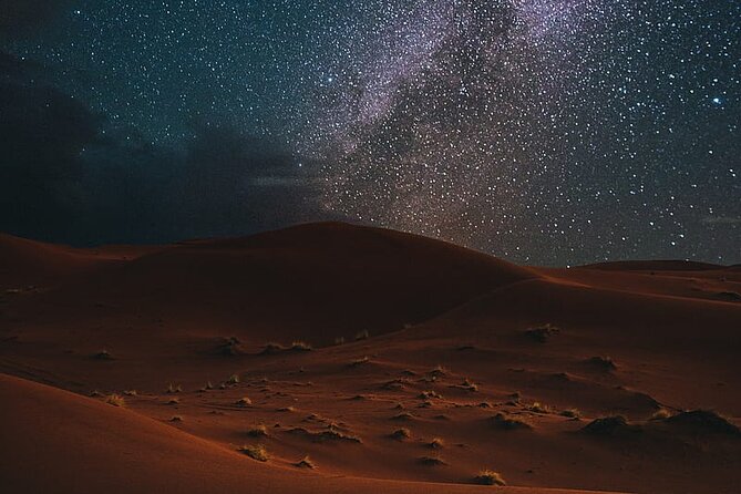 Night Desert Safari, Stargazing, Dune Driving & Inland Sea Visit - Which guide can shape your evening