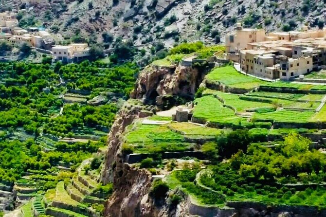 Nizwa Fort-Nizwa Souq-Birkat Al Mouz-Jebel Akhdar - Private Full Day Tour - Seeing the working side of Nizwa Souq