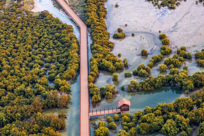 North of Qatar Tour, Zubara Fort, Mangroves, Jumail Village - Why Qatar’s northern coast is worth your time